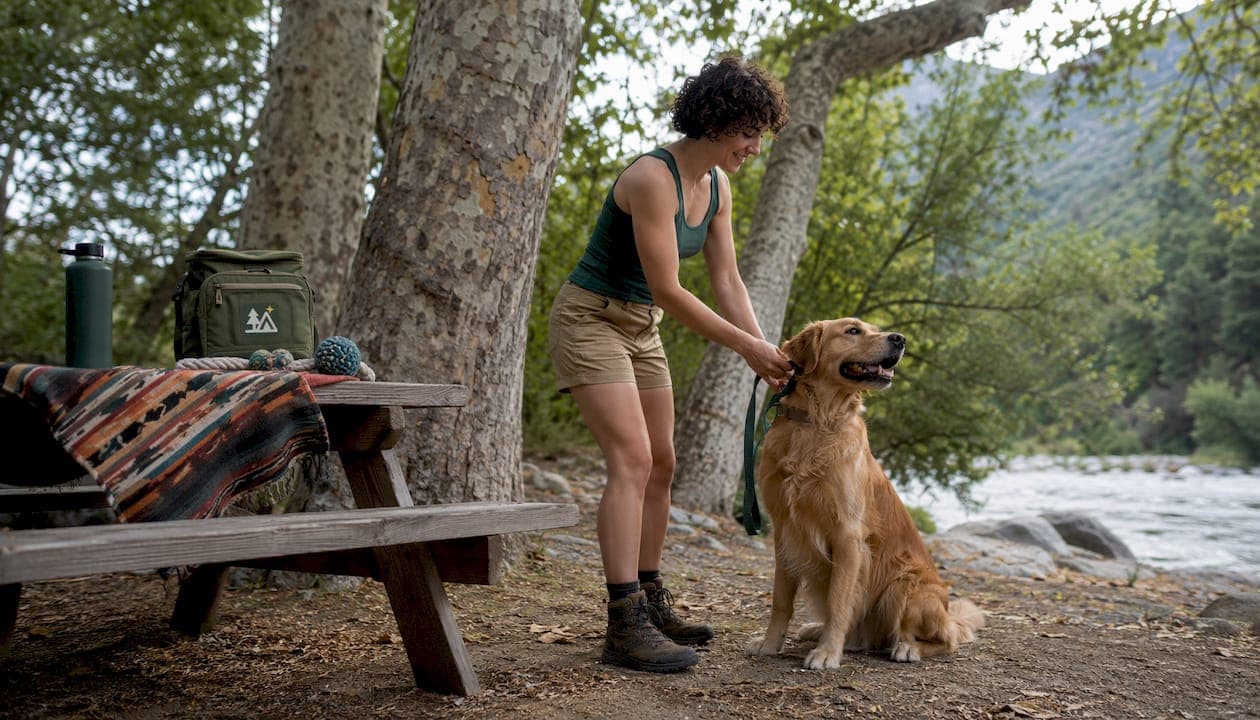 Best Dog Friendly Campgrounds in the US: 2026 Guide